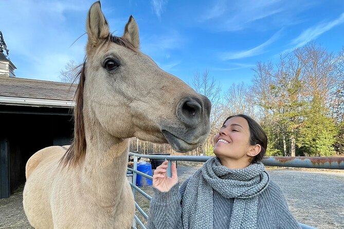Connect with Rescue Animals on a Private Farm Tour in Catskills - Who should book this tour (and who might not)