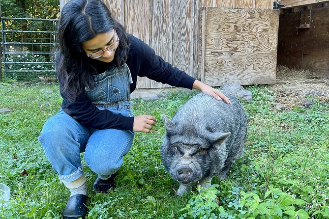 Connect with Rescue Animals on a Private Farm Tour in Catskills - Quick FAQ on practical details