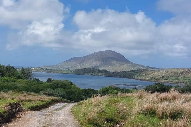 Connemara Sheep Farm experience & Kylemore Abbey by Lux Limousine - A private Galway day: Kylemore, castles, fjord views, and sheep farm stops