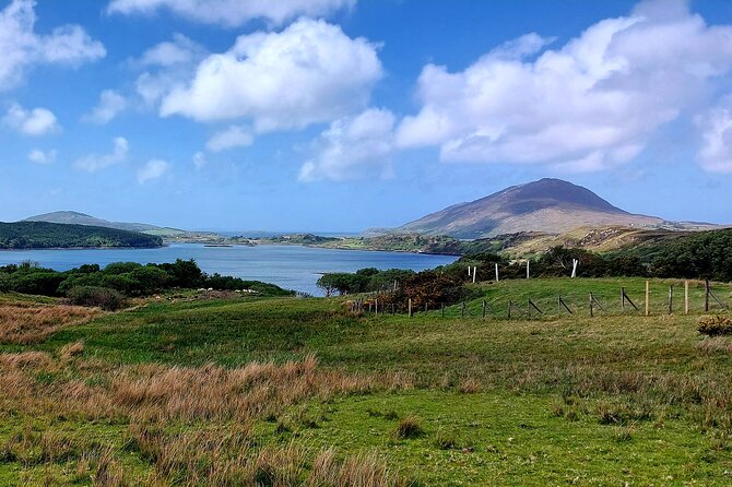 Connemara Sheep Farm experience & Kylemore Abbey by Lux Limousine - Killary Sheep Farm: a working Connemara farm and sheepdogs in action