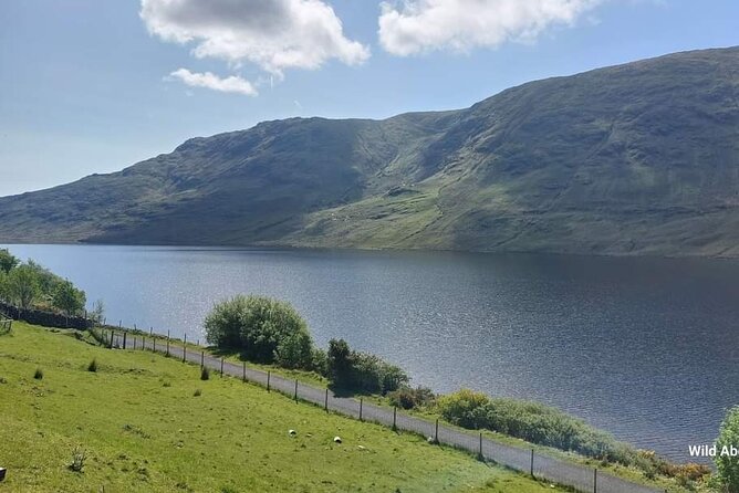Connemara Sheep Farm experience & Kylemore Abbey by Lux Limousine - Value for money: why the private format matters here