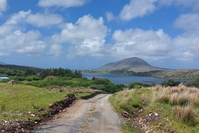 Connemara Sheep Farm experience & Kylemore Abbey by Lux Limousine - Who this tour suits best (and when to tweak your expectations)