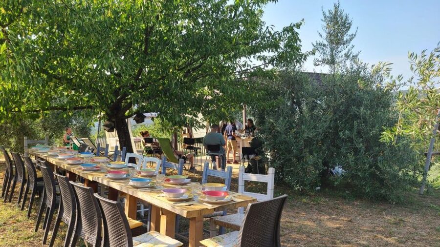 Cooking class in our family farm in Chianti with lunch - Bread and schiacciata dough skills you can reuse at home