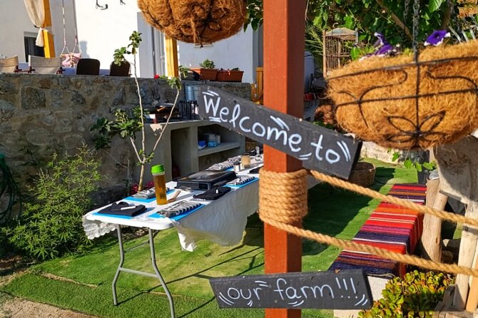Cooking Class Sunset Dinner and Tour in Paros Farm - Cooking Together: The Greek Menu You’ll Prepare