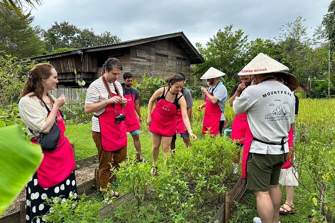 Cooking Class with Organic Farm in Chiang Mai - Key highlights worth planning around
