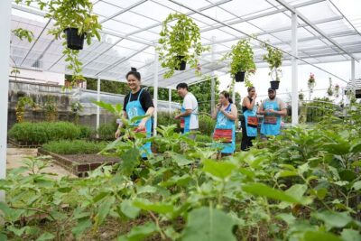 Cooking Class with Organic Farm in Chiang Mai at Mama Noi - Your Personal Cooking Station and Instructor Support