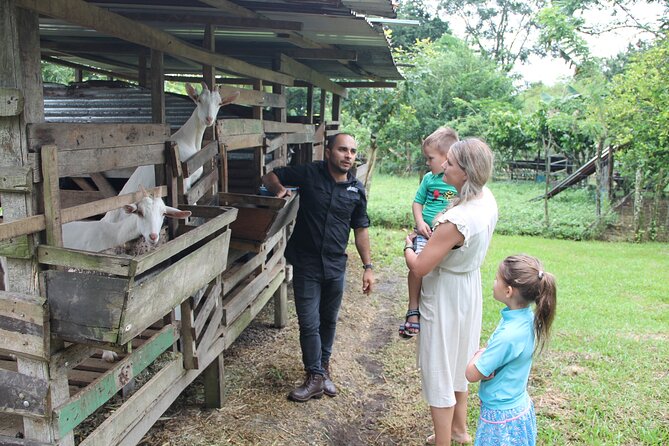 Costa Rica Descents Organic Farm - Key Points You’ll Care About Before You Go