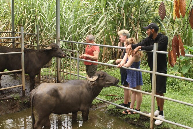 Costa Rica Descents Organic Farm - Why This 1-Hour Organic Farm Tour Works in La Fortuna