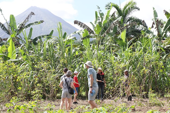 Costa Rica Descents Organic Farm - Lunch With Coffee/Tea: Eating Like a Local (Not Just Watching)