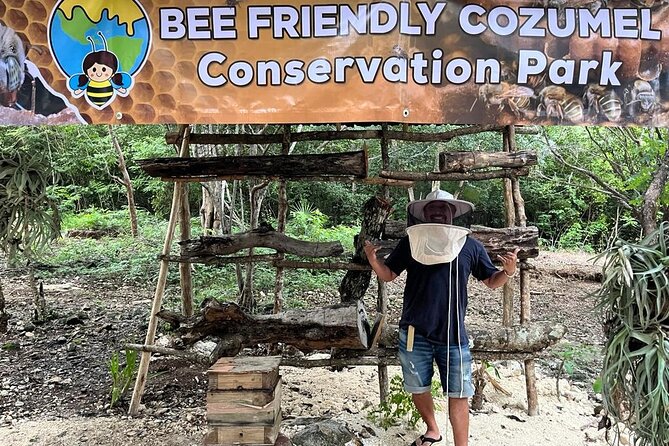 Cozumel: Hands-On Chocolate, Tortilla, Salsa & Honey Experience - Key Highlights (What Makes This Tour Worth It)