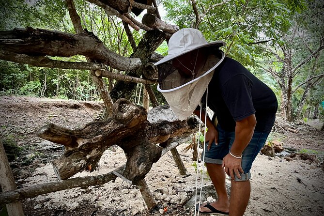 Cozumel: Hands-On Chocolate, Tortilla, Salsa & Honey Experience - Tierra Maya: The Jungle Setting That Turns Tastings Into Skills