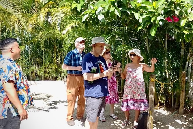 Cozumel: Hands-On Chocolate, Tortilla, Salsa & Honey Experience - Sacred Bees and Melipona Honey Tasting: Two Species, Real Comparisons
