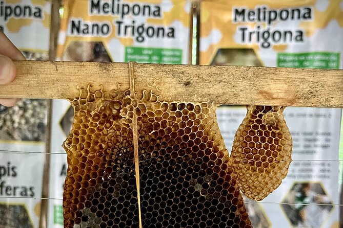 Cozumel: Hands-On Chocolate, Tortilla, Salsa & Honey Experience - Seasonal Local Liqueurs: Planning for the End of the Tour