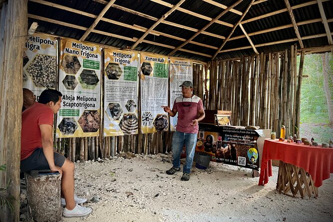 Cozumel: Hands-On Chocolate, Tortilla, Salsa & Honey Experience - Timing Your Day on Cozumel: Eat Smart Around the Tastings