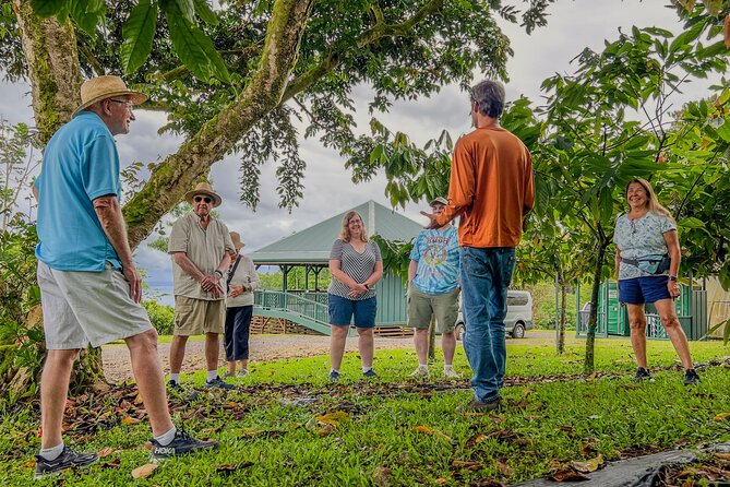 Craft Chocolate Tasting and Farm Experience on the Big Island - Chocolate history from Mesoamerica to the craft movement