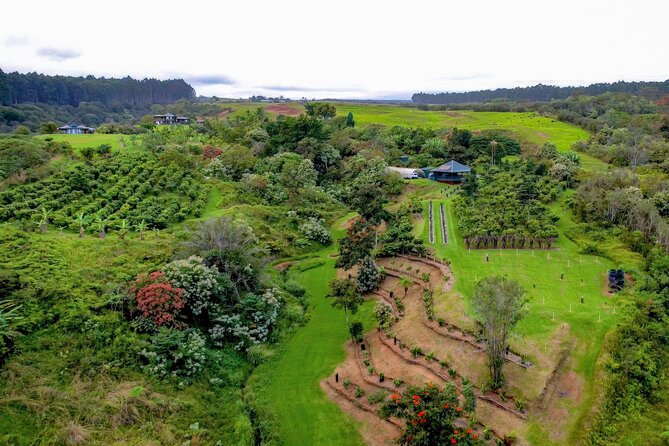 Craft Chocolate Tasting and Farm Experience on the Big Island - What you’ll actually eat and drink (beyond chocolate bars)