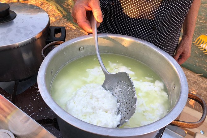 Cretan Farm Tour with Cheese-Making, Olive Oil Tasting & Picnic - Start in the Groves and Greenhouses: What You See on the Way