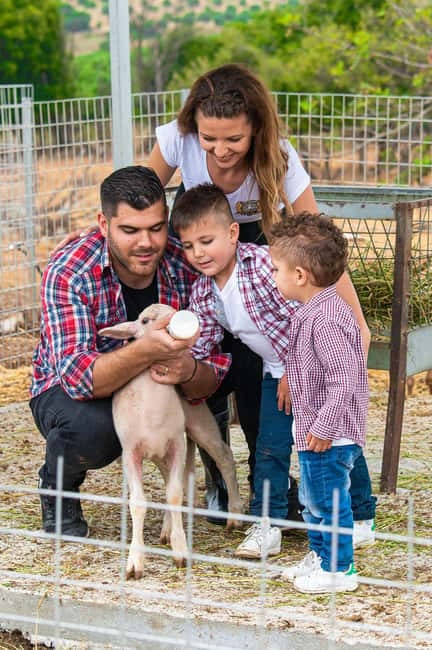 Crete: Farm Visit with Cheese Tasting and Milking Experience - Arkadianos Farm near Rethymno: a day-plan that’s easy to plug in