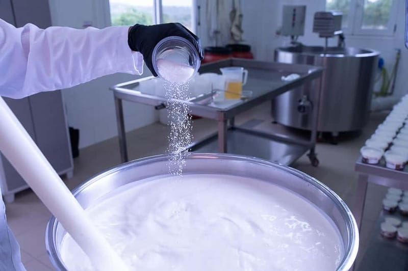 Crete: Farm Visit with Cheese Tasting and Milking Experience - Goat and sheep milking: hands-on, with both hand and modern gear