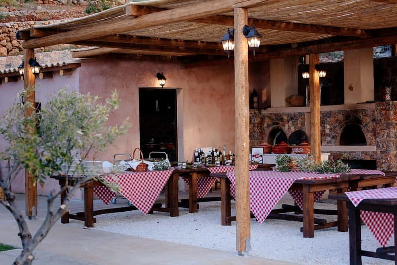 Crete: Road-trip to Lasithi Plateau & Olive Mill Farm - What This Lasithi Plateau Day Trip Really Gives You