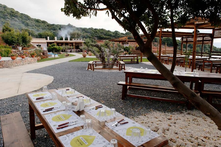 Crete: Road-trip to Lasithi Plateau & Olive Mill Farm - Knossos Palace Option: The 4,000-Year Context Slot