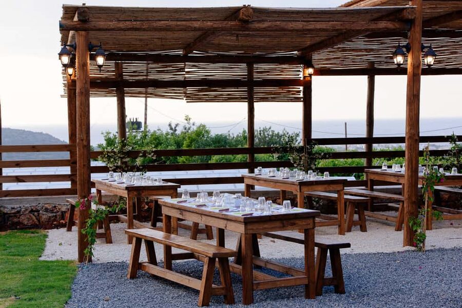 Crete: Road-trip to Lasithi, Zeus Cave & Olive Mill Farm - Lyrakis Family S.A. olive mill farm: where the tasting makes sense