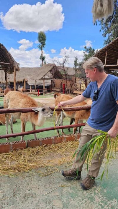 Cusco: Alpaca and Llama Farm Tour w/ Transfer & Weaving Demo - Up close with alpacas and llamas, plus vicuñas and huanacos