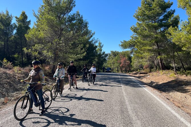 Cycling Through Vineyards & Farm Lunch & Ephesus visit - The Big Question: Does It Feel Worth $149?