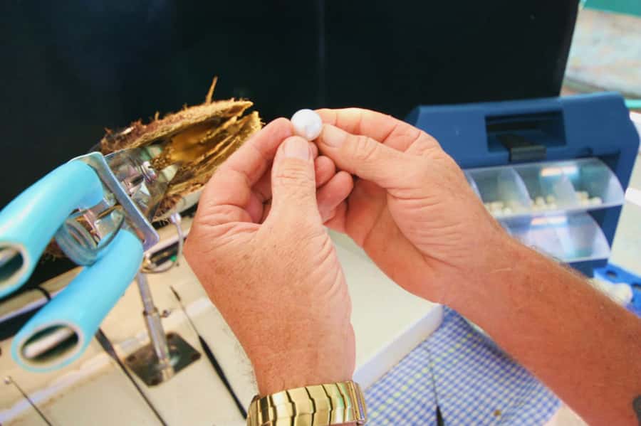 Cygnet Bay Pearl Farm Behind-the-Scenes Tour & Live Harvest - Why Cygnet Bay Pearl Farm Feels More Real Than Most Tours