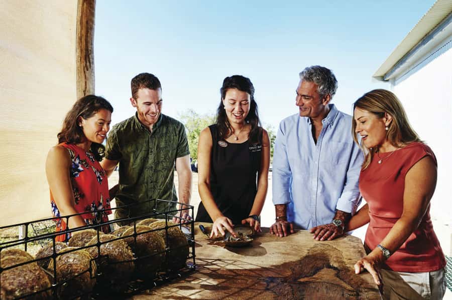 Cygnet Bay Pearl Farm Behind-the-Scenes Tour & Live Harvest - The 1-Hour Tour Plan: History, Harvest, and Pearl Grading