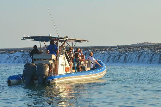 Cygnet Bay Sea Safari & Pearl Farm Tour Scenic Flight - Key highlights worth planning for