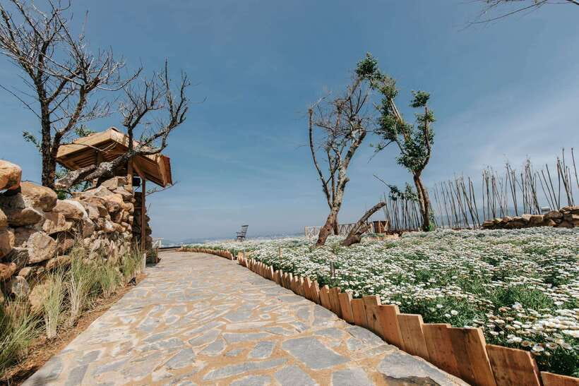 Da Lat: Sunrise Panorama, Green Tea Hill and Strawberry Farm - Loi Cua Gio café: breakfast, drink promo, and valley views
