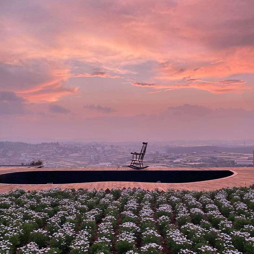 Da Lat: Sunrise Panorama, Green Tea Hill and Strawberry Farm - Cau Dat Green Tea Hill and those spinning wind turbines