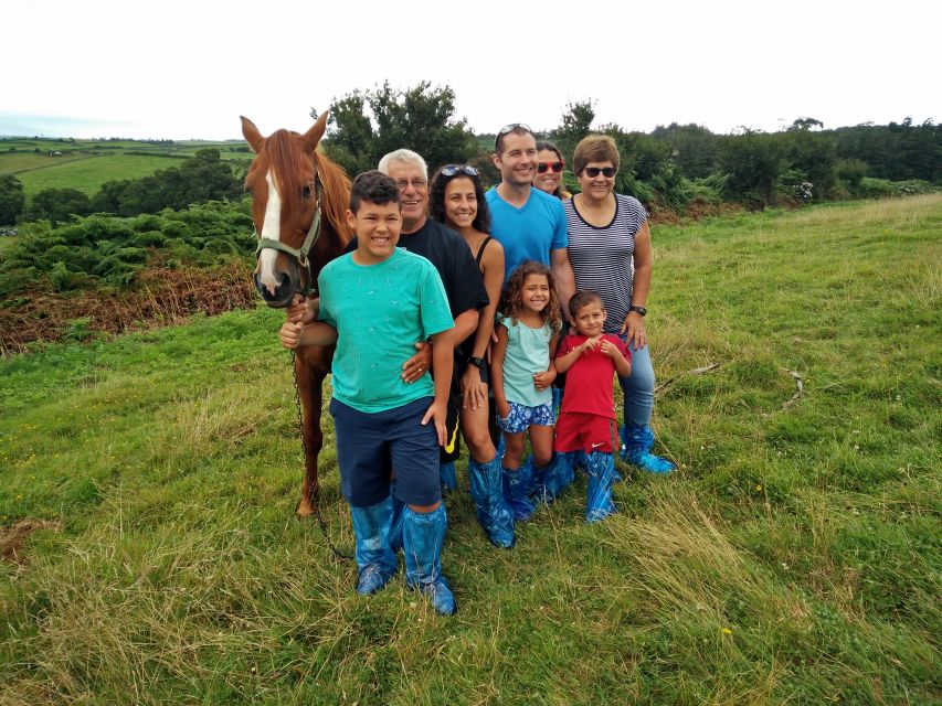 Dairy farm Visit and Cow Milking Experience in Azores - Who Should Book This Dairy Farm and Milking Tour
