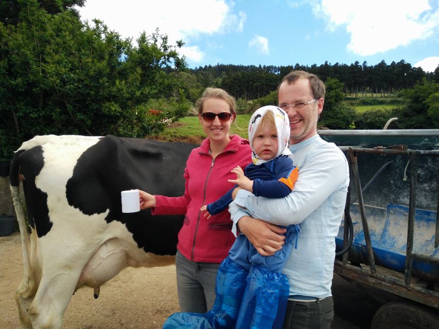 Dairy farm Visit and Cow Milking Experience in Azores - Price and Value: Is $57 Worth It?