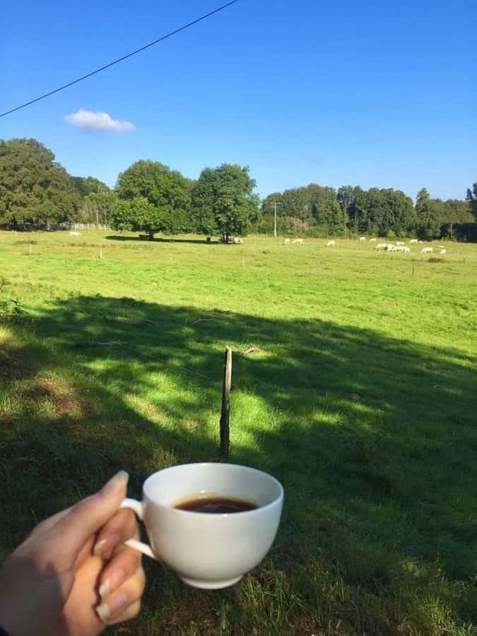 Day Tour to Fairview Coffee Farm - What’s Included vs. What You’ll Need to Plan For