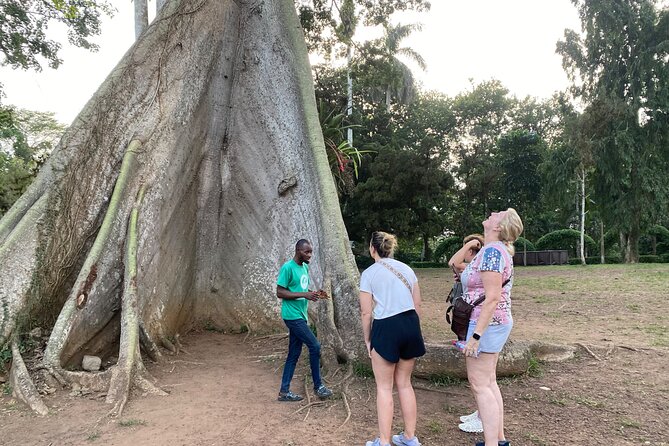 Day Trip Near Accra - Visit Aburi Gardens, Waterfall & Cocoa Farm - Key highlights you’ll care about