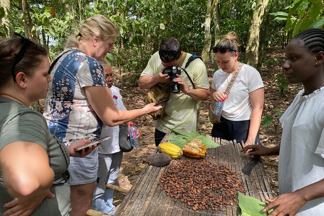 Day Trip Near Accra - Visit Aburi Gardens, Waterfall & Cocoa Farm - Vince and the value of a guide who actually explains