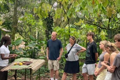 Day Trip Near Accra - Visit Aburi Gardens, Waterfall & Cocoa Farm - Aburi Botanical Gardens: trees, orchids, and conservation lessons