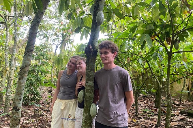 Day Trip Near Accra - Visit Aburi Gardens, Waterfall & Cocoa Farm - Oboadaka Falls: the stair descent, the spray, and the sound