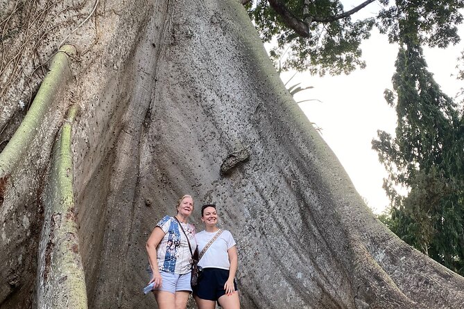 Day Trip Near Accra - Visit Aburi Gardens, Waterfall & Cocoa Farm - Price and logistics: what $179 buys you