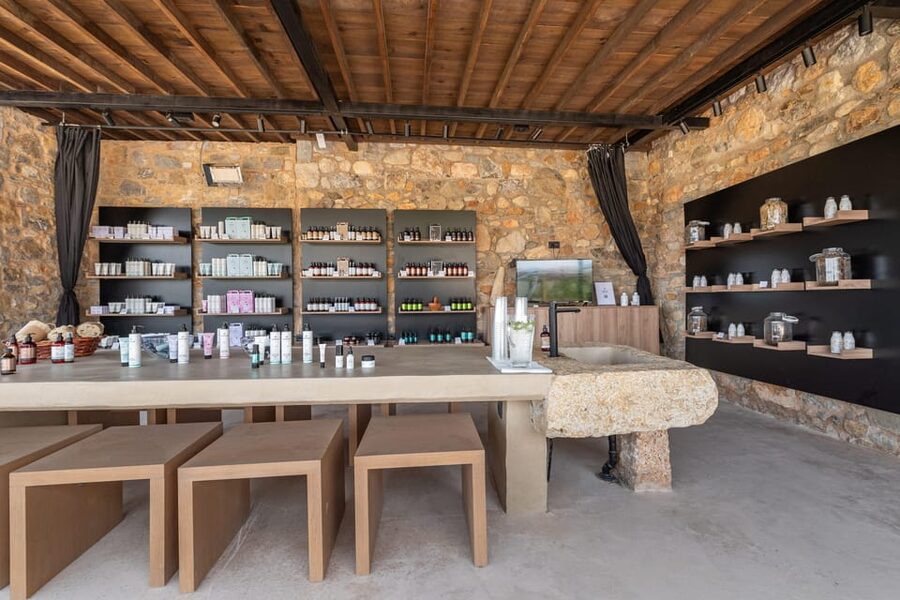 Discover Aloe: A Farm Walk & Workshop - Distillation Explained in Plain Terms (So It Sticks)