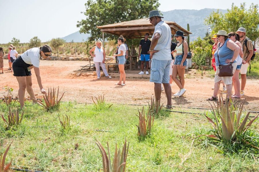Discover Aloe: A Farm Walk & Workshop - Practical Logistics That Affect Your Day