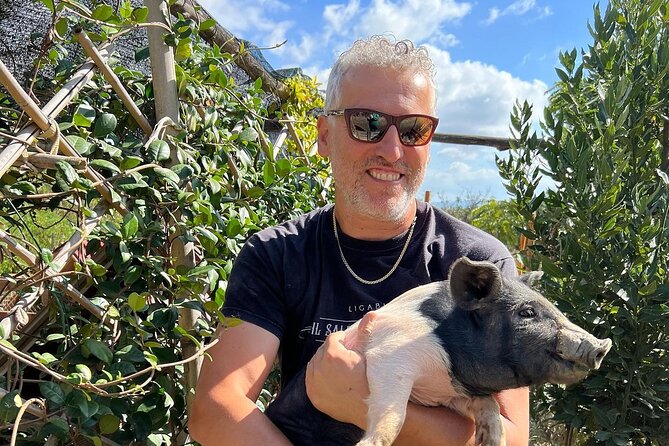 Discover Montepulciano: Cinta Senese Pigs, Lunch & wine in a Farm - Key highlights worth your time