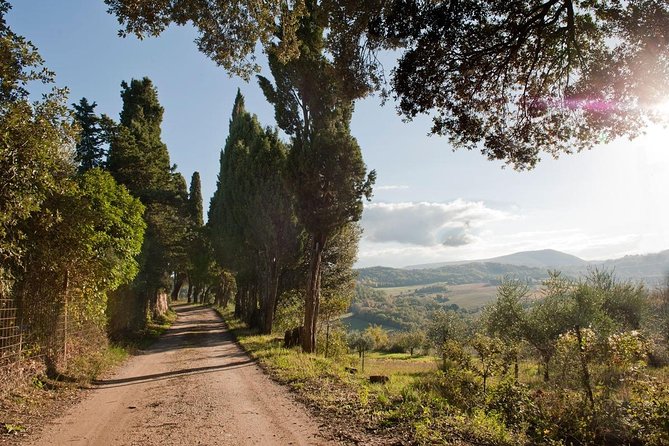 Discover Montepulciano: Cinta Senese Pigs, Lunch & wine in a Farm - Who should book this and who might want a different plan