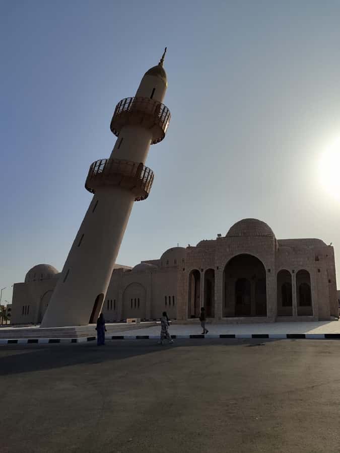 Doha Camel Racing Track: Oryx Farm & Sheikh Faisal Museum. - Who should book this tour, and who might skip it