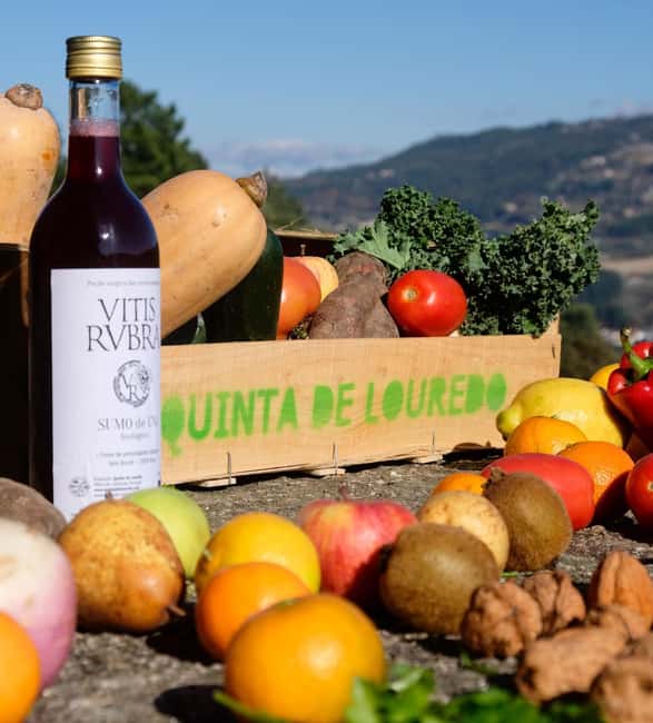 Douro Valley: Traditional Cooking Class, Farm Tour and Lunch - Quinta de Louredo: a Douro Valley lunch with a family mission