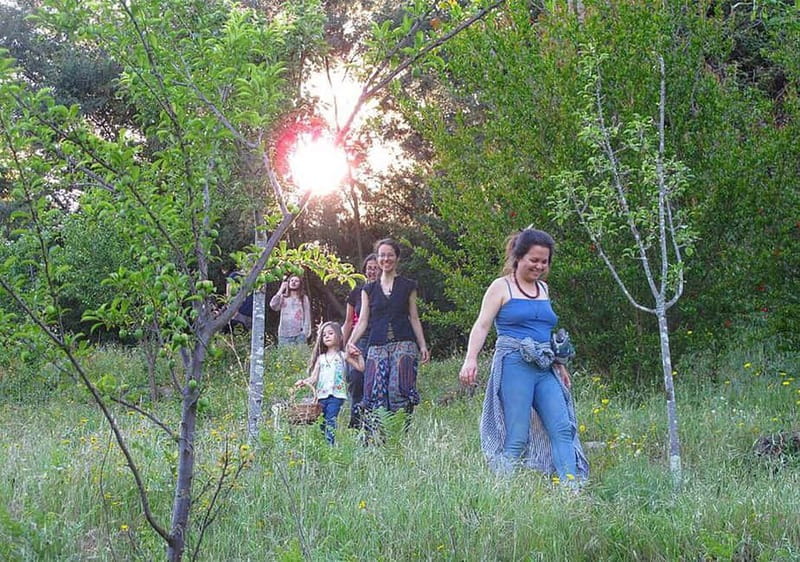 Douro Valley: Traditional Cooking Class, Farm Tour and Lunch - The wildfire rebuild: your ticket helps something real