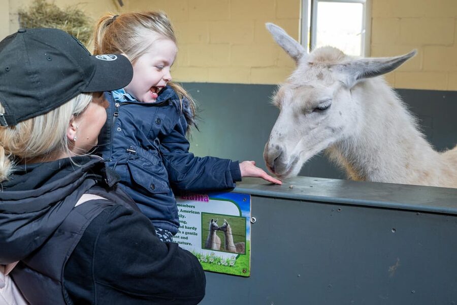 Durham: Adventure Valley Farm Park Entry Ticket - Price and Value: What Your $22 Ticket Really Covers