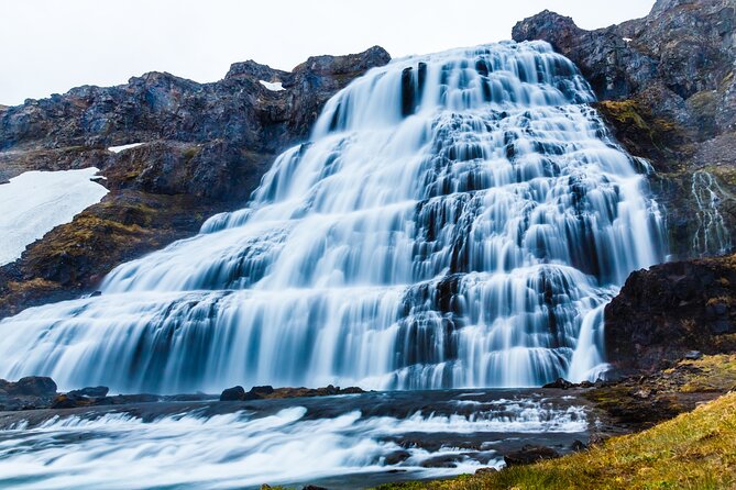 Dynjandi Waterfall & Iceland Farm Visit Tour - Key things I’d bank on before you go
